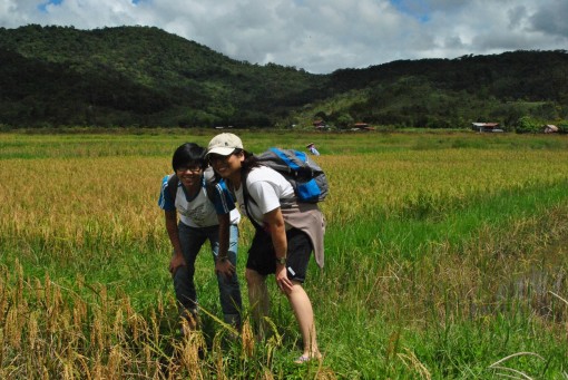 DSC_9361 - Copy (1600x1071)